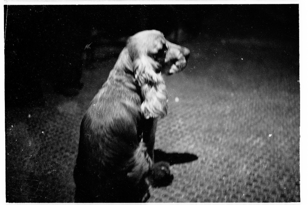 C003_731