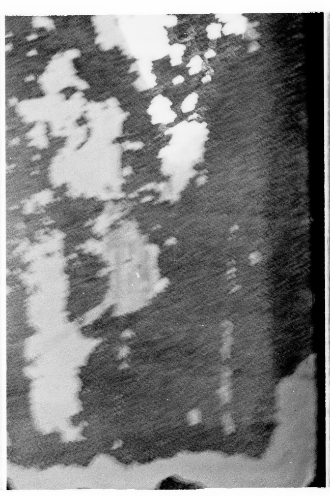 C003_117