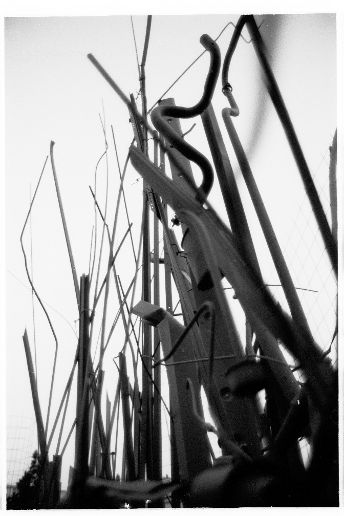 C007a_105